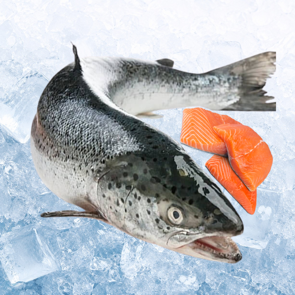 刺身三文鱼 Sashimi Grade Norwegian Salmon Trout (Pre-order)