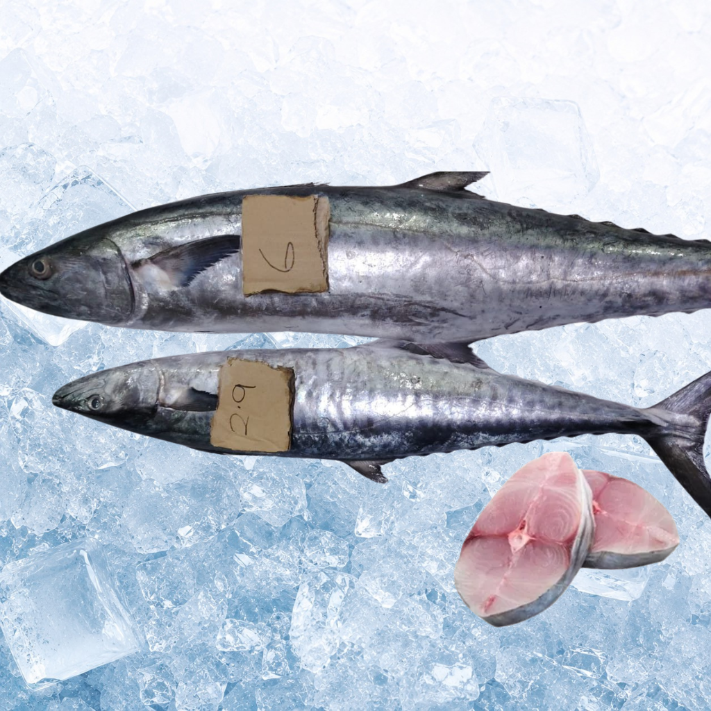 竹鲛鱼 Tenggiri Steak Cut 2cm