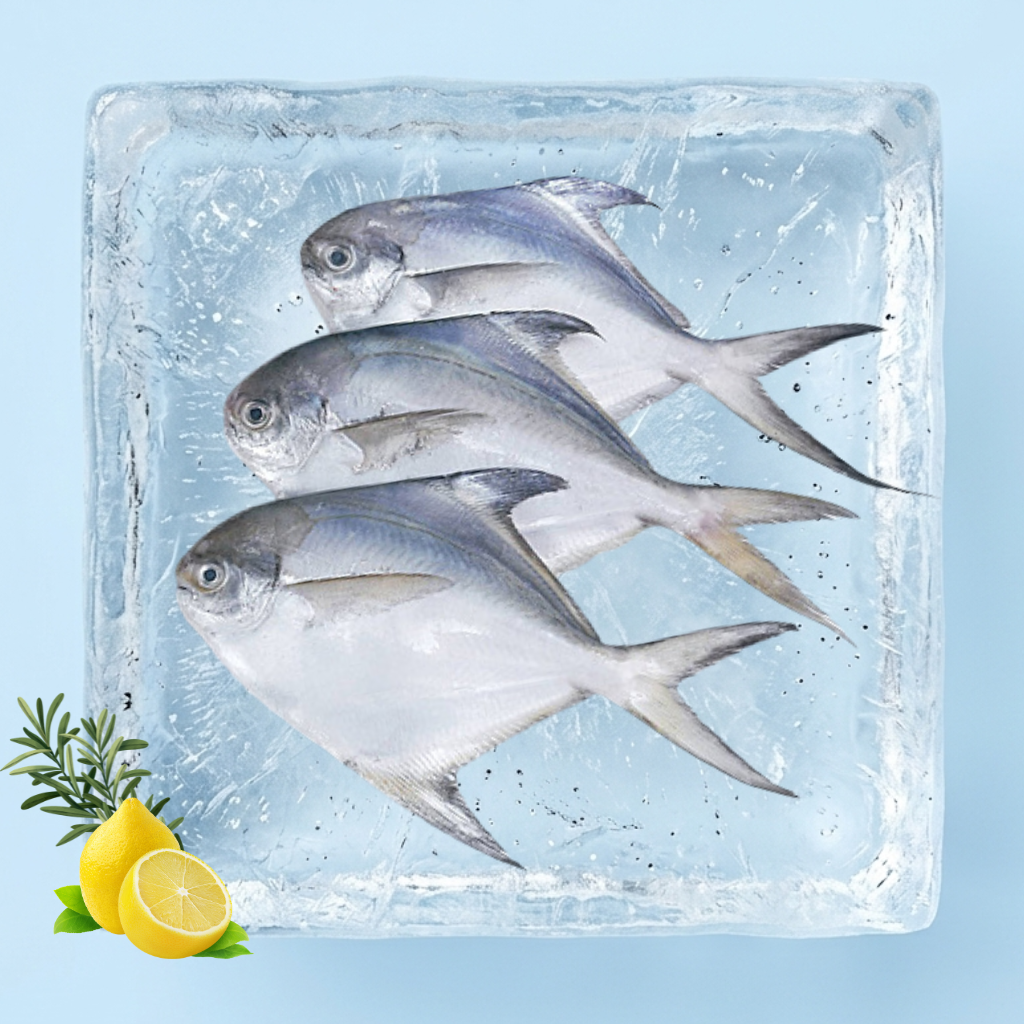 白鲳 Bawal Putih | Silver Pomfret (Cleaned)