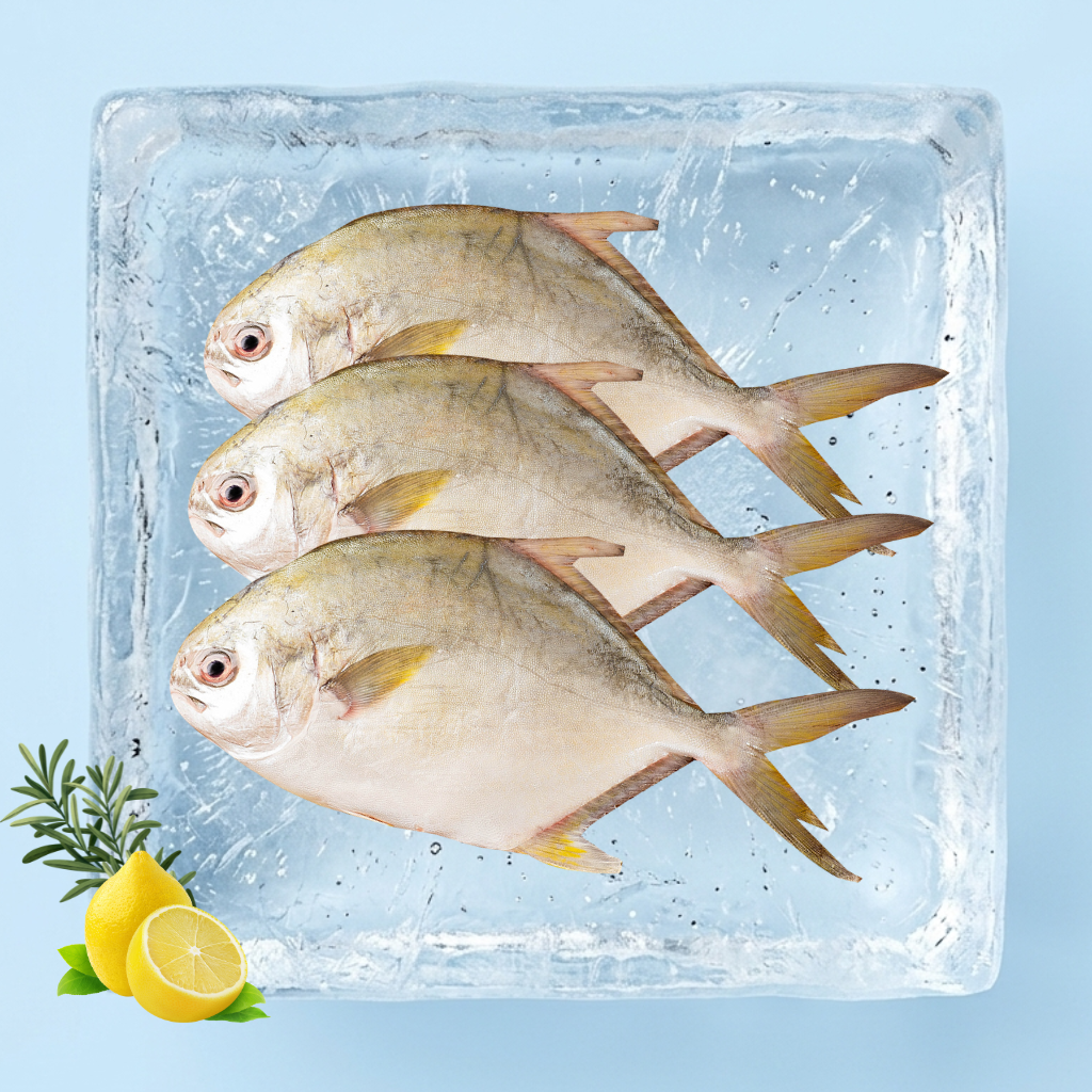 金鲳 Bawal Emas | Golden Pomfret (Cleaned)