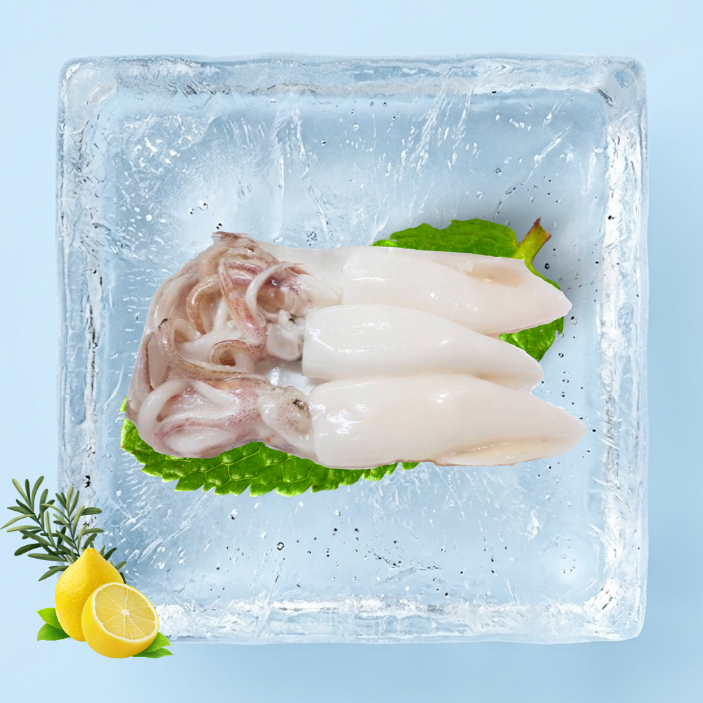 Sotong Terbal AB Clean