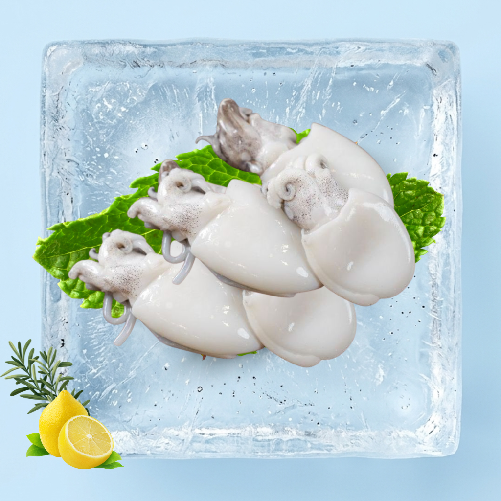 Tray Baby Cuttlefish 40/60 (11-15pcs)