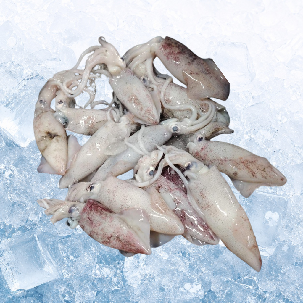 冰鲜厚肉苏东 Fresh Endau Sotong