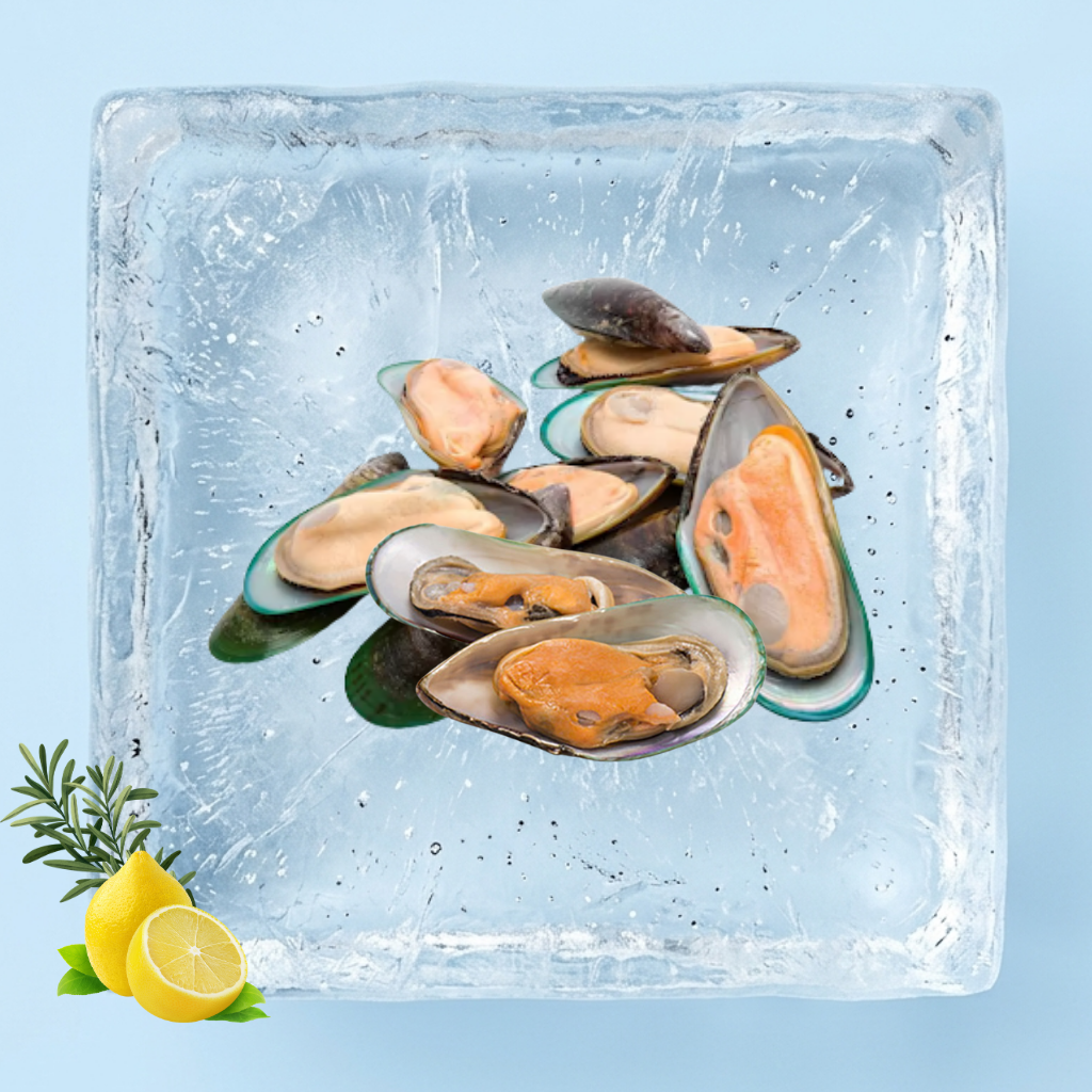 青生蚝 New Zealand Half Shell Green Mussel