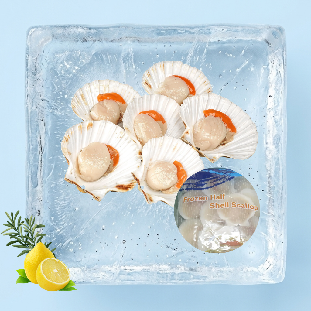扇贝 Half Shell Scallop