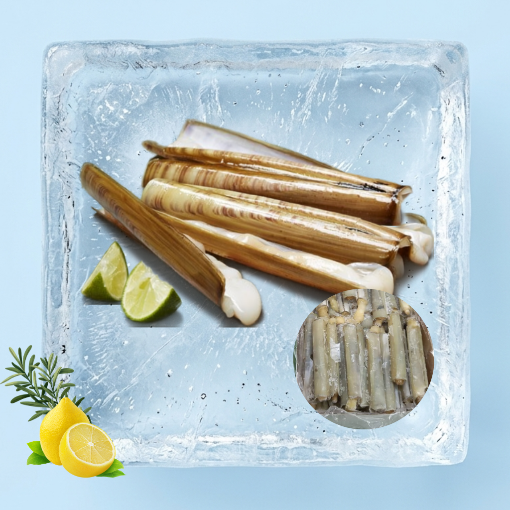 竹滩 Bamboo Shell